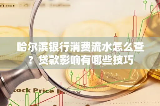 哈尔滨银行消费流水怎么查?贷款影响有哪些技巧